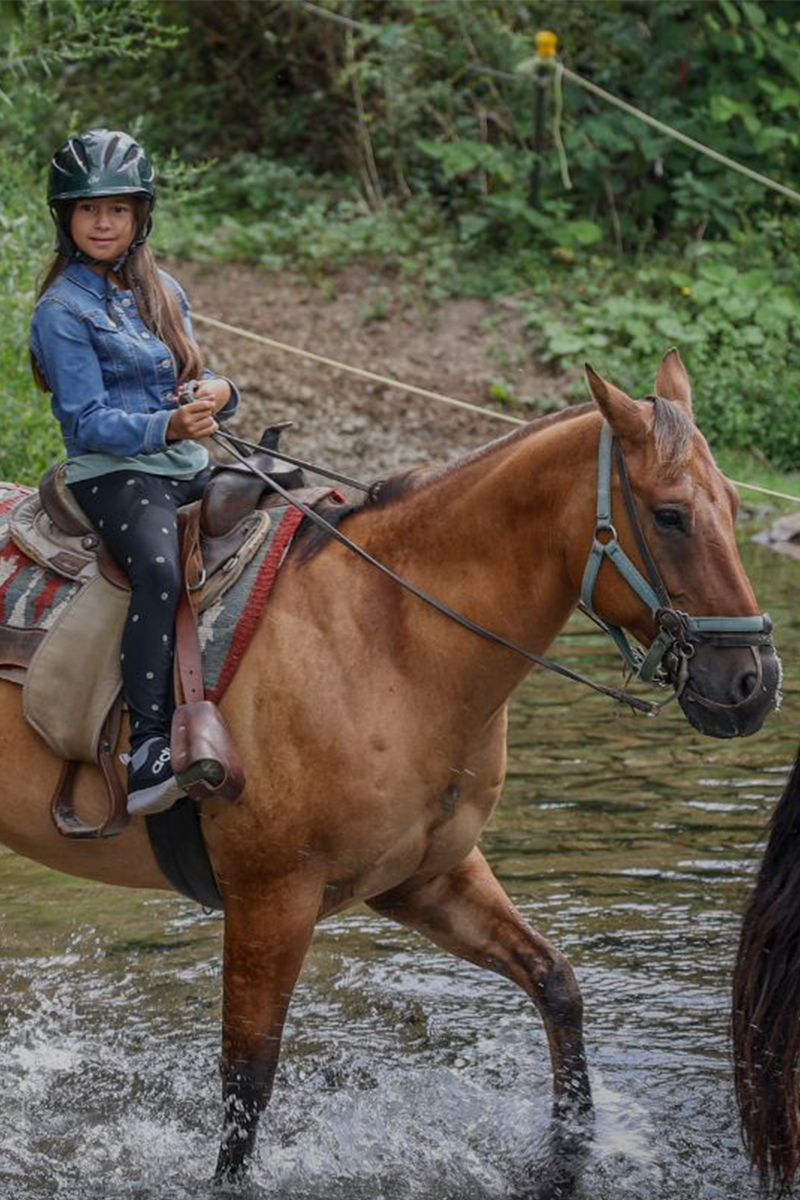Mountain Creek Riding Stable