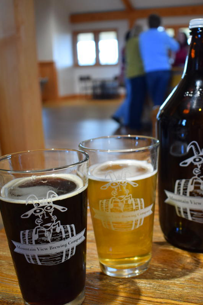 Mountain View Brewing